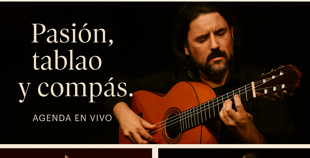 imagen 2 – guitarrista tocando